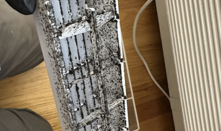 Cleaning mold in AC